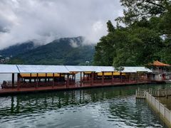 -广州市流溪河国家森林公园
