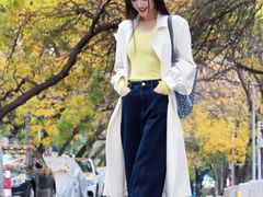 -三里屯东五街银杏大道