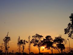 -南汇嘴观海公园