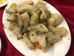 -蛇口康乐快餐鱼仔档(翠苑小区店)