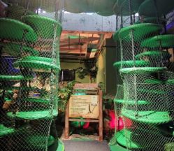 -恐龙探索乐园(磁器口店)