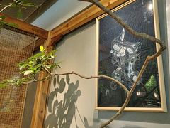 -本处·素食·融合料理(南油店)