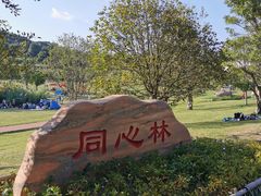 -牛岗山公园