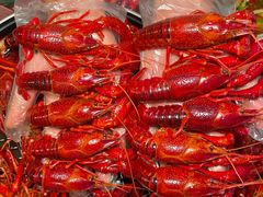 -霸王虾·麻辣小龙虾(清水河公园店)