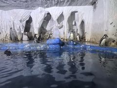 -太平洋海底世界