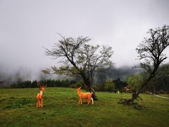 -硗碛藏寨·神木垒景区