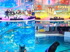 -三亚海昌梦幻海洋不夜城