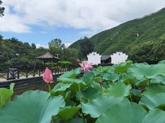 -荷塘味道(水长城店)