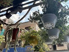 -溪岸路花鸟市场