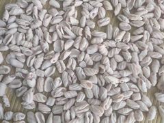 -大班家政月嫂育儿嫂(总部店)