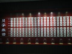 -青岛贝壳博物馆