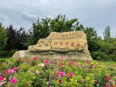 -伊犁河风景区