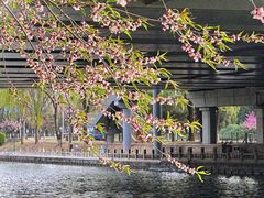 -皇家御河游(紫御湾码头)