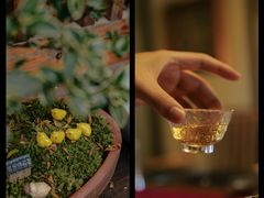 -红尘再(安昌古镇店)