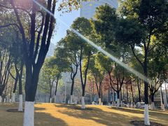 -西北湖绿化广场