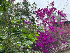 -陈有良尖椒鸡(江津总店)