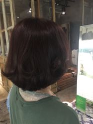 -salon漫