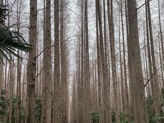 -上海怡沁园度假酒店