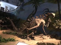 -自贡恐龙博物馆