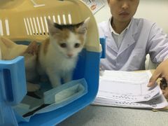 -达爱动物医院·犬猫分区·CT·复杂眼科(远洋山水分院)