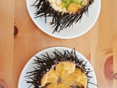 -海胆小馆(东北水饺·春柳店)