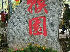 -广东茂名森林公园