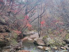 -五女峰国家森林公园