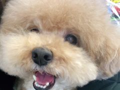 -FAELING PETS美天灵宠物(富力广场店)
