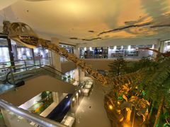 -甘肃地质博物馆