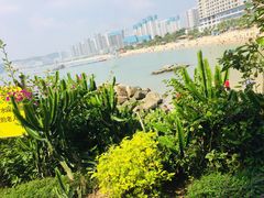 -明记海鲜大排档(巽寮湾店)