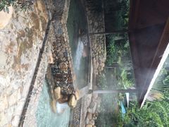 日月谷温泉渡假村-厦门日月谷温泉渡假村