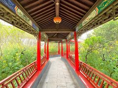 -南汇桃花村