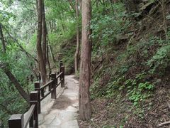 -国家植物园南园