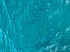 -班拉雅潜水度假村
