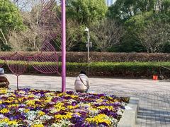 -人民公园-相亲角