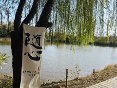 -上海长兴岛郊野公园