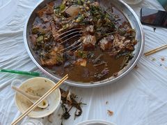 -庆岭迎宾园正宗活鱼馆