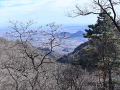 -大觉寺-停车场