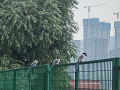 -汉江湾体育公园