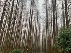-上海怡沁园度假酒店