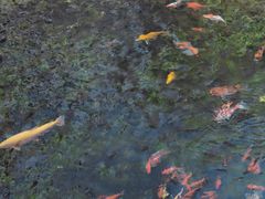 -水磨沟公园