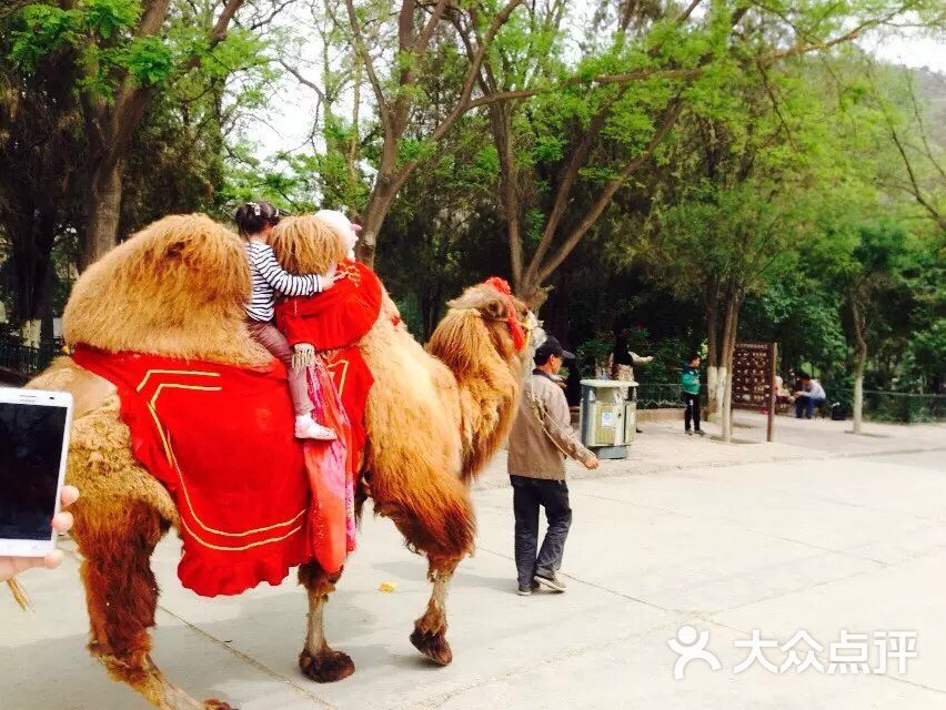 蘭州市動物園圖片 - 第60張