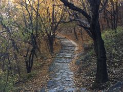 -阳台山自然风景区