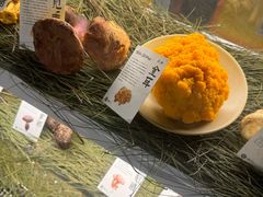 -滇野云南野生菌餐厅(陕西南路店)