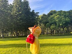 -海沧湾公园