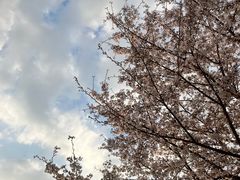 -七宝老街-闵行市民文化广场