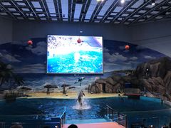 -福州罗源湾海洋世界旅游区