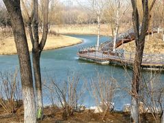 -大兴滨河森林公园