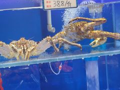 -荣祥海鲜·烟台菜(胜利路二部)
