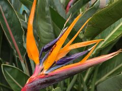 -国家植物园南园